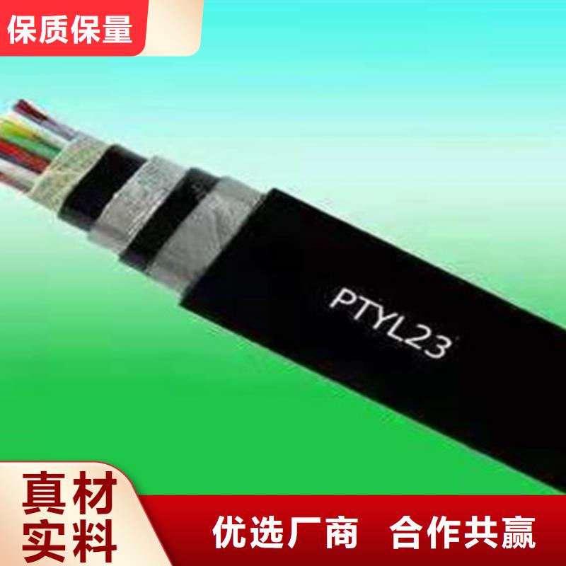 TZYV铁路信号电缆的规格尺寸源厂供货