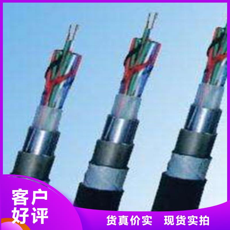 铁路信号电缆信号电缆使用方法N年专注
