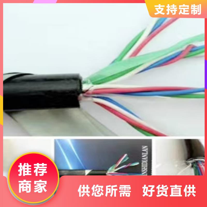 天津铁路信号电缆电缆生产厂家服务至上