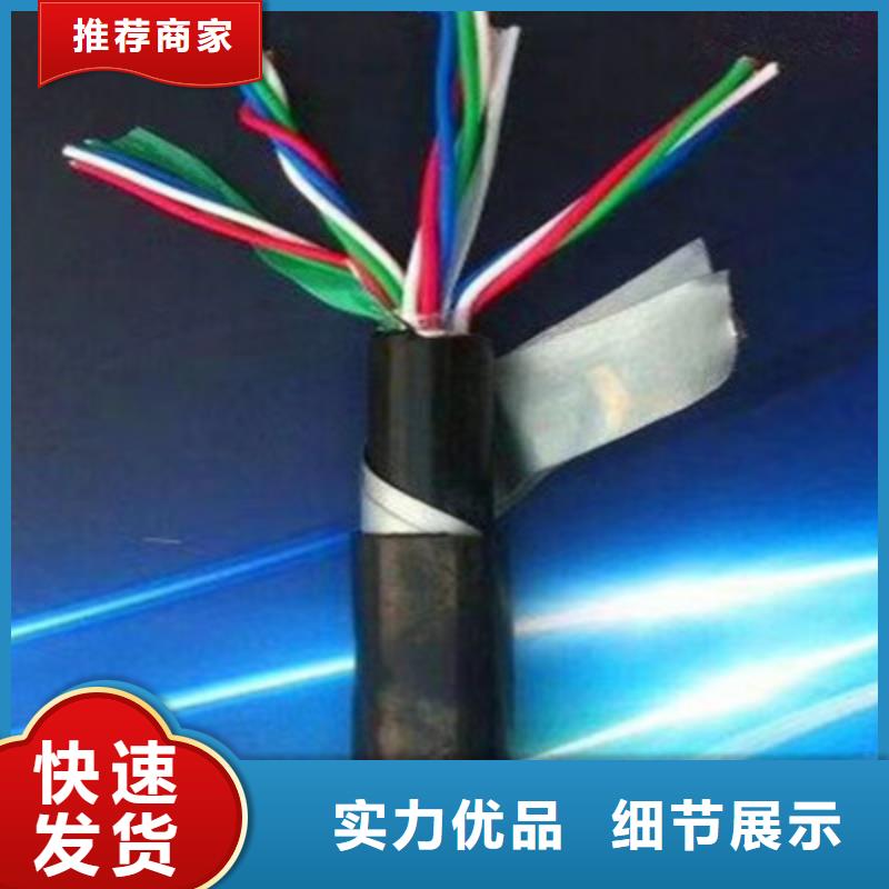 铁路信号电缆-【电缆生产厂家】免费回电实力雄厚品质保障