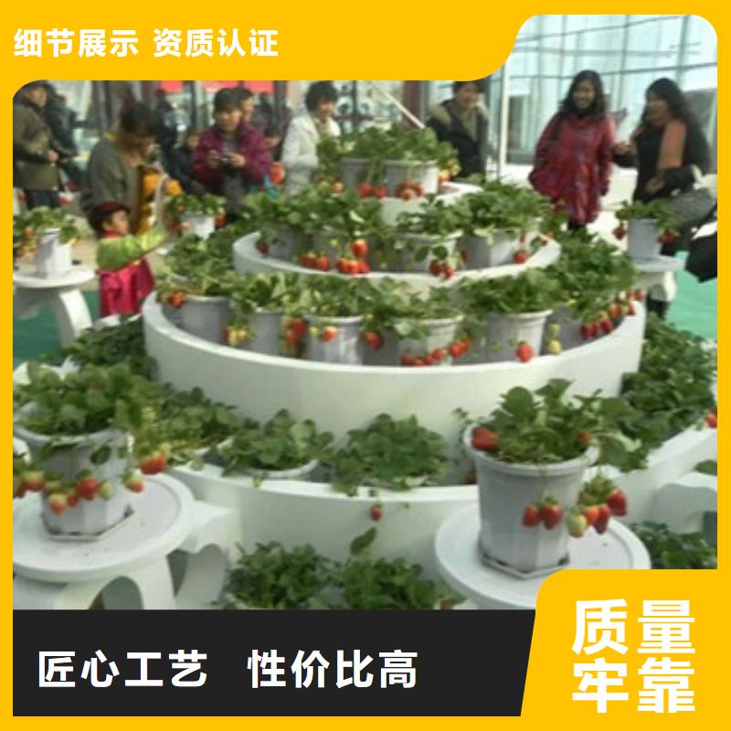 2022##亳州法兰地草莓苗厂家##有限公司