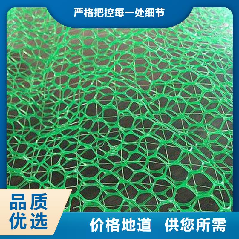 三维植被网软式透水管做工细致实力大厂家