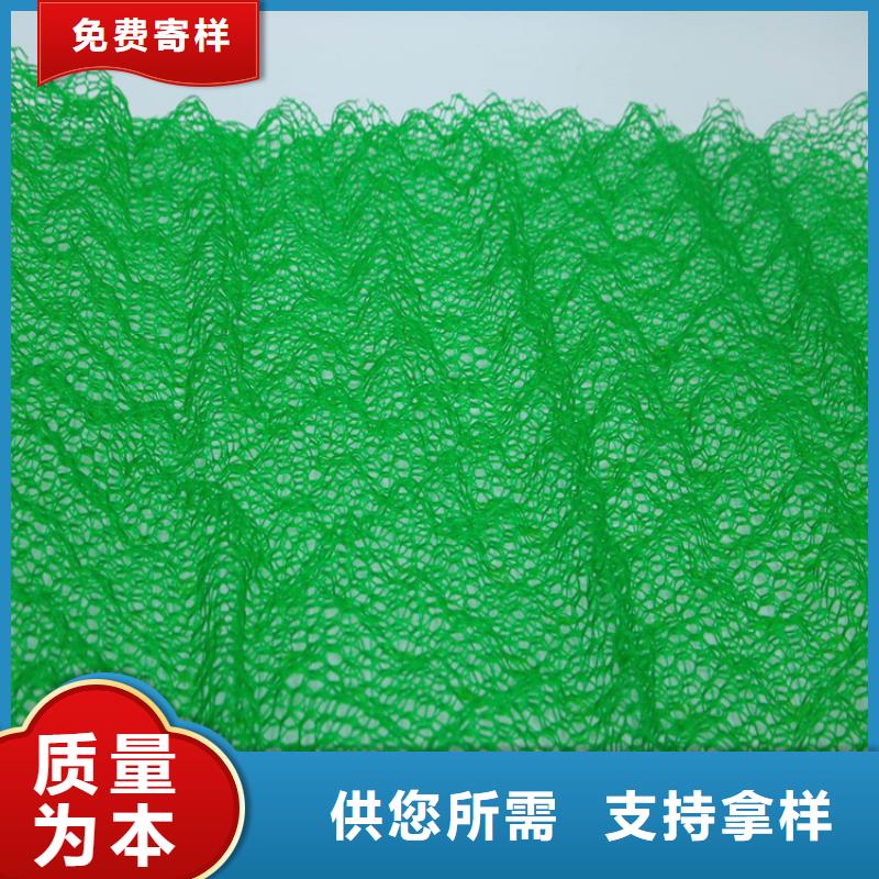 草皮塑料三维护坡植草网垫资质认证