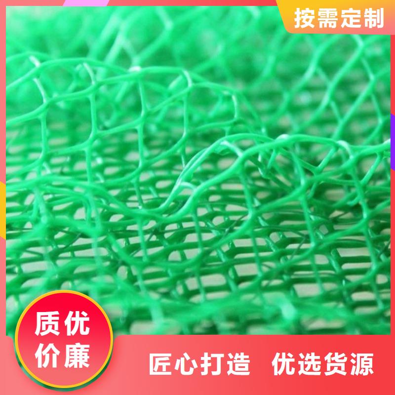三维固土网垫塑料绿化品质卓越