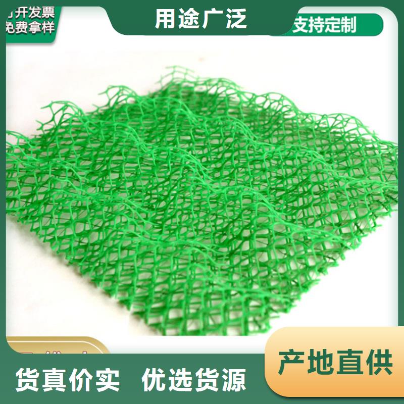 江苏无锡EM2塑料三维土工网垫