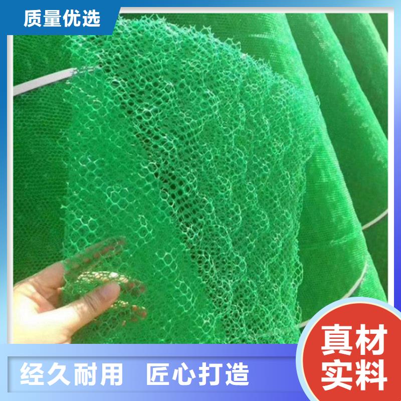 绿化草皮三维护坡植草网垫应用广泛