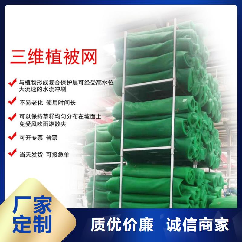 三维植被网塑料护坡自产自销