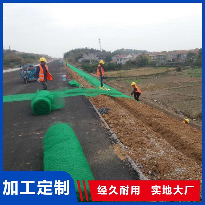 广西柳州三维土工网垫厚度