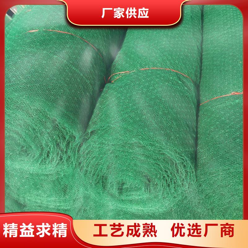 北京三维植被网HDPE土工膜拥有多家成功案例