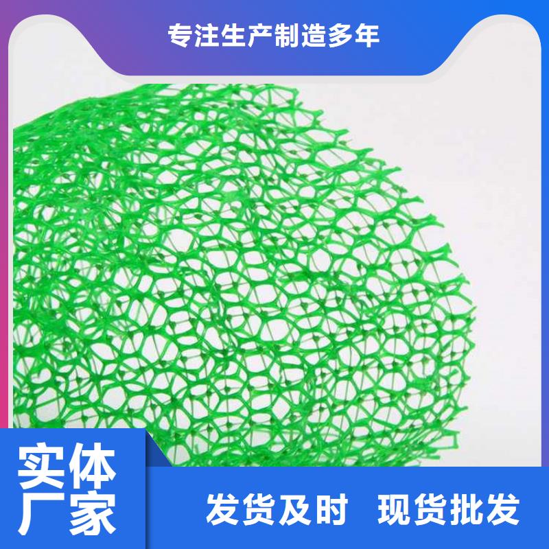 锦州市护坡植草三维土工网垫来样生产