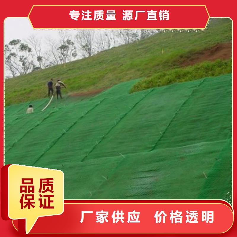 固土EM3三维护坡植草网垫专注生产制造多年