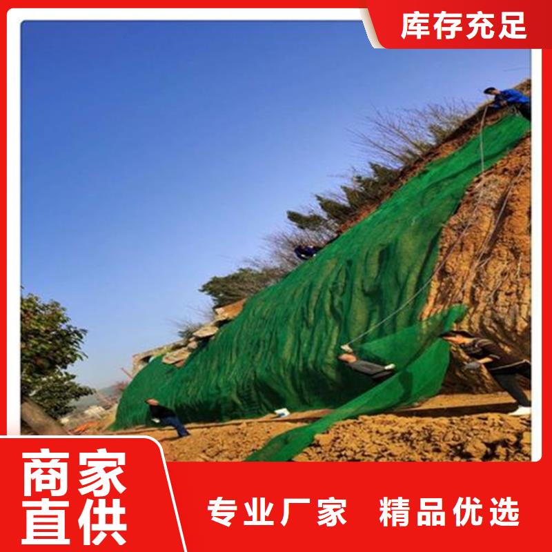 青海海西三维固土网垫塑料EM5
