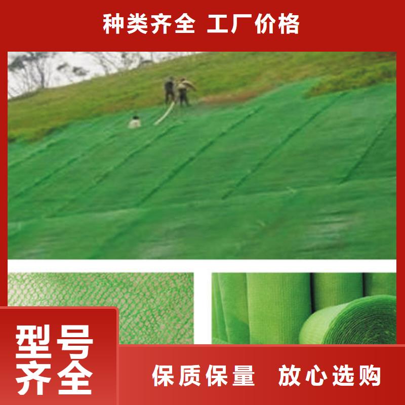 济南市边坡绿化三维土工网垫