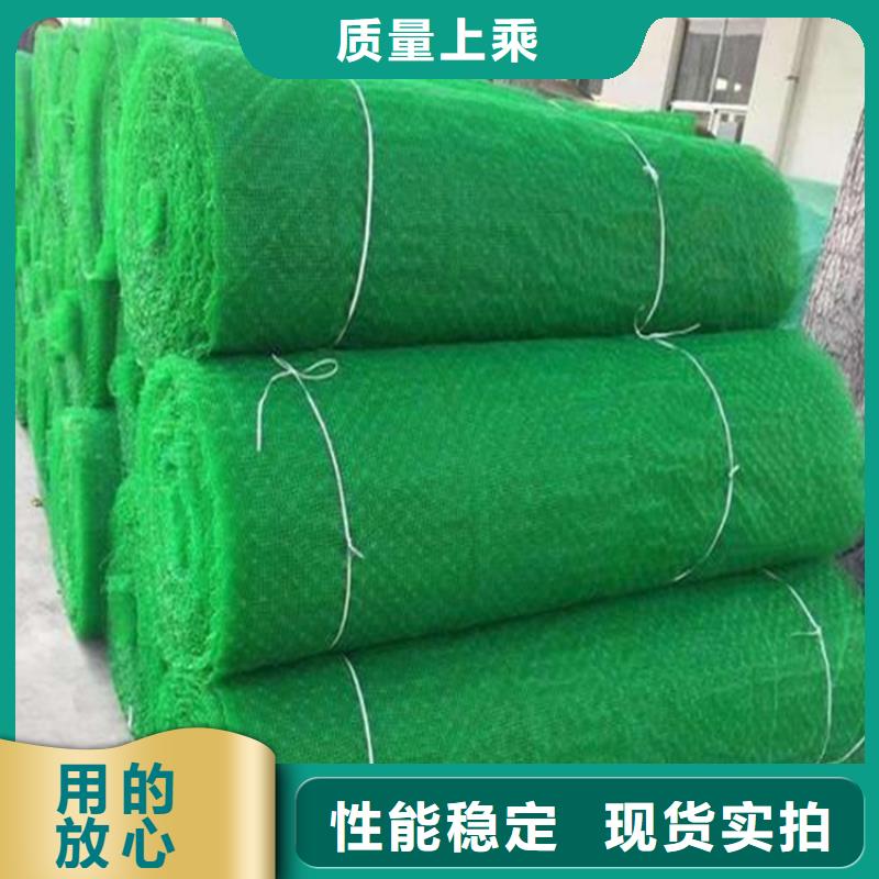 三维固土网垫加筋护坡高标准高品质