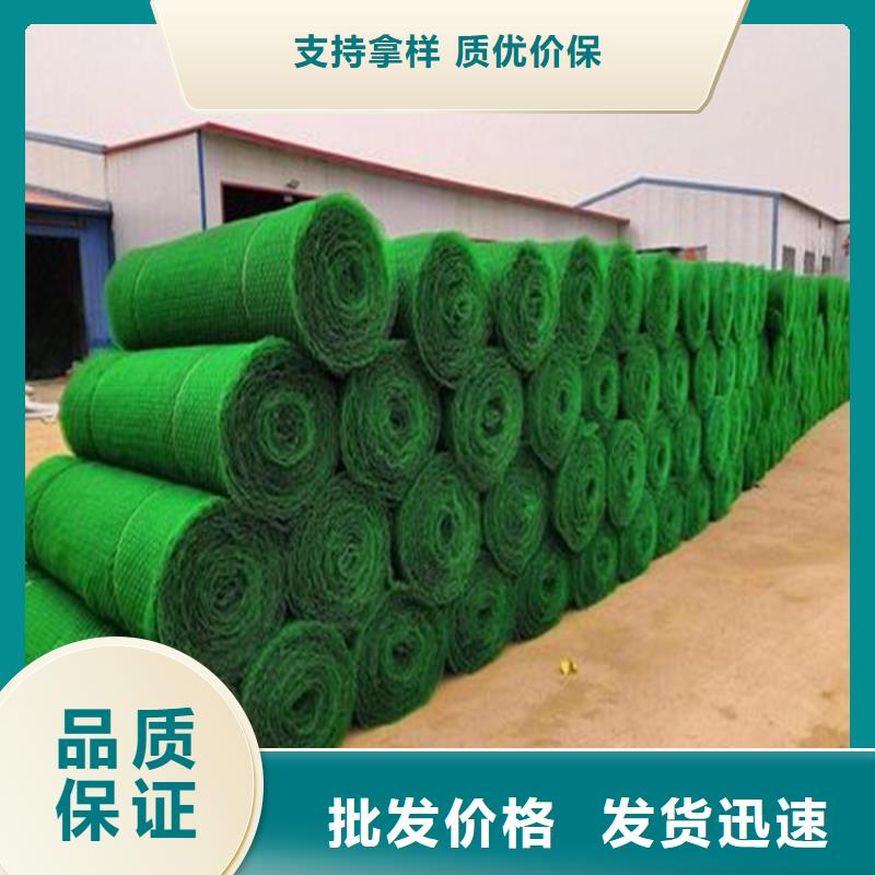 EM3EM2三维护坡植草网垫用途广泛