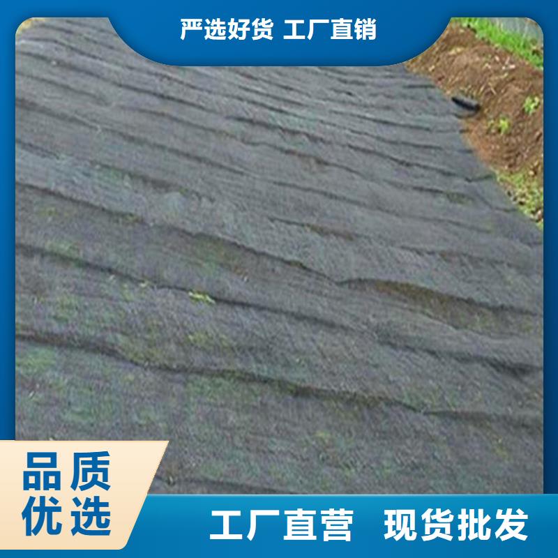 水土保护毯HDPE土工膜高标准高品质价格低