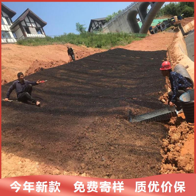 广东阳江柔性水土保护毯性能参数