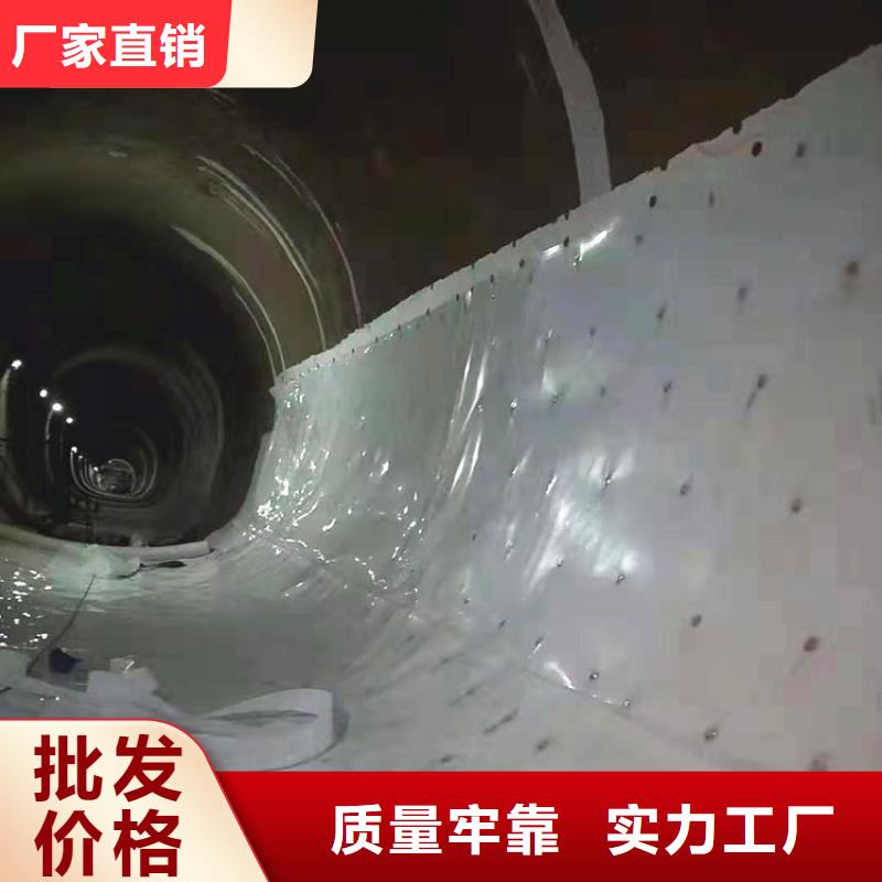 安徽蚌埠隧道防水板