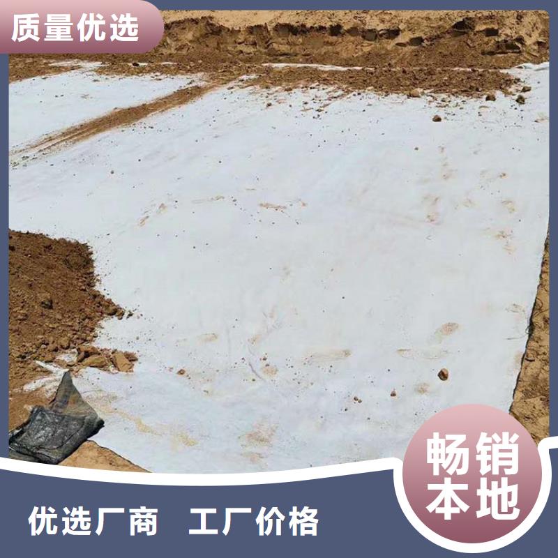 河南钠基膨润土防水毯检测严格