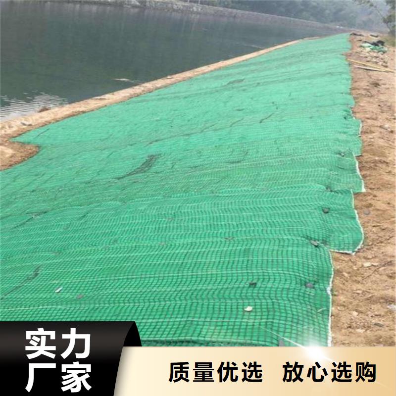 广东江门生态植物防护毯环保植草毯