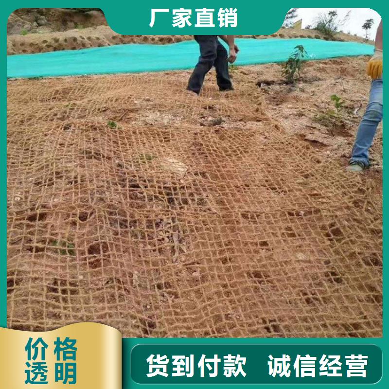 陕西榆林椰丝生态植物毯