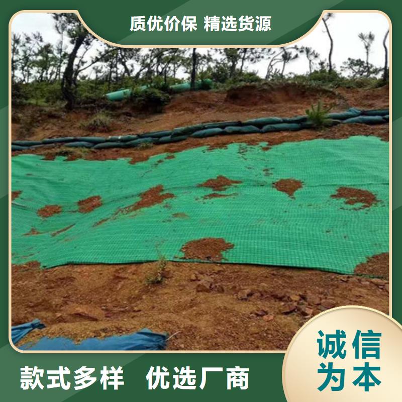 海南东方市生态植物防护毯可定制