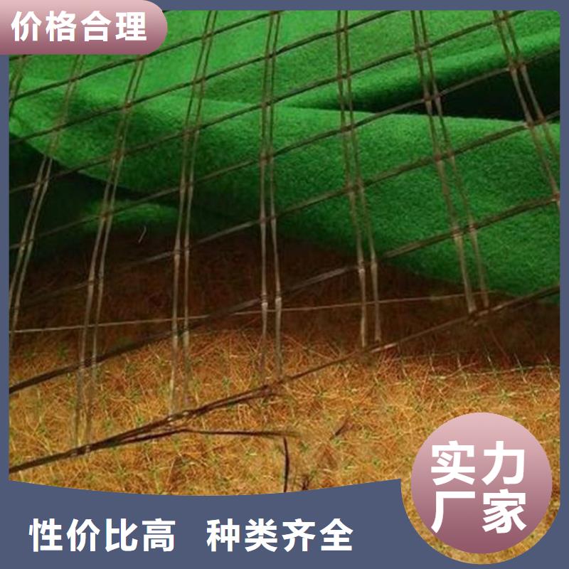 椰丝纤维毯生态植草毯同城生产厂家