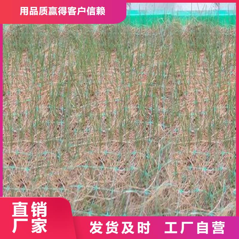 广西百色护坡生态草毯施工新闻