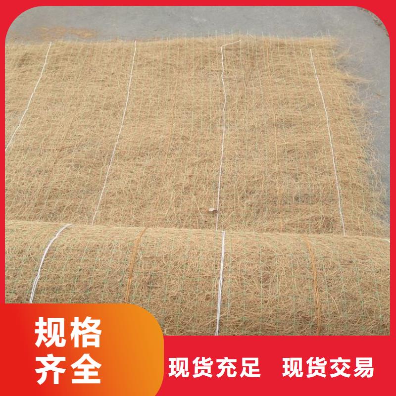 广西百色椰丝纤维毯绿化植被垫