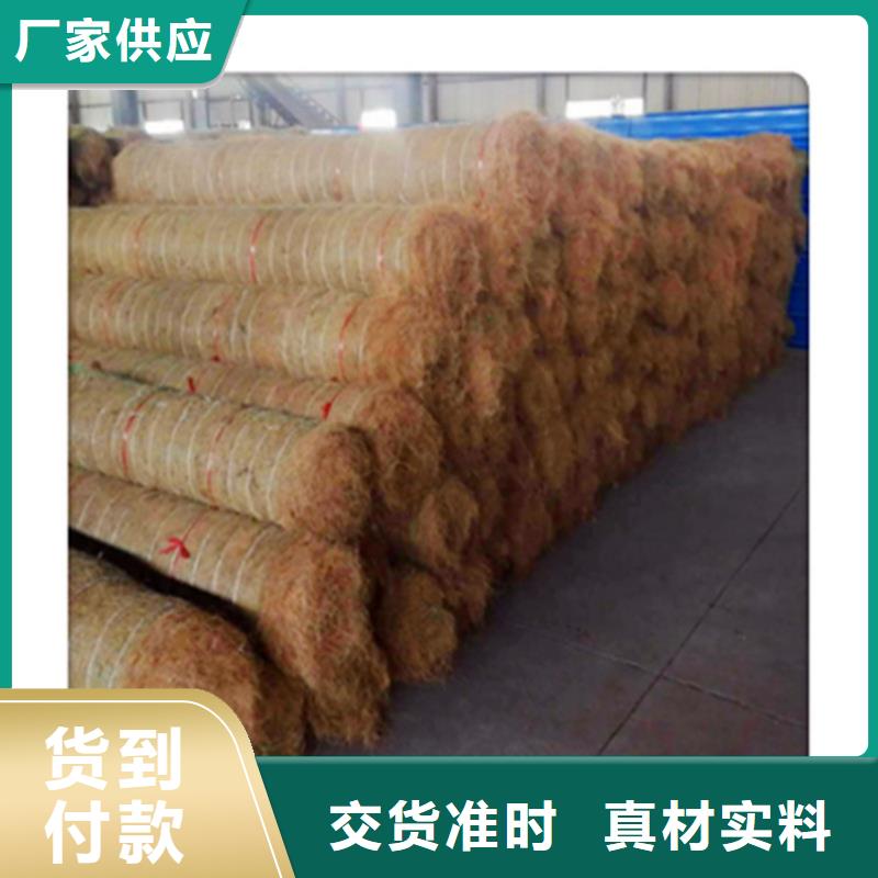 特别行政区生态植物防护毯纤维植被垫当地生产厂家