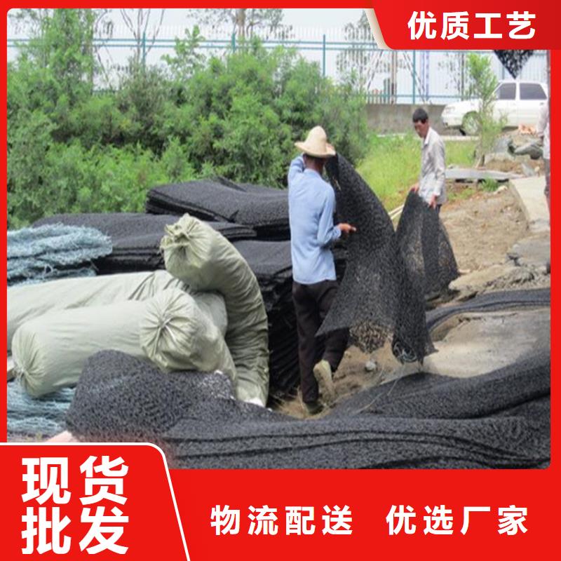 广东惠州10 20高渗排水网垫