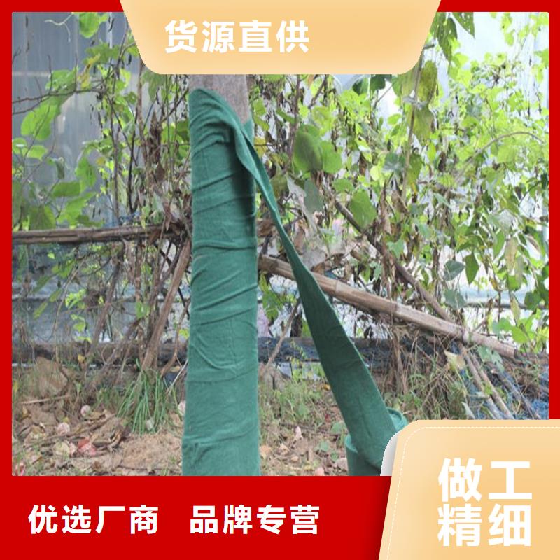 缠树养护布符合行业标准