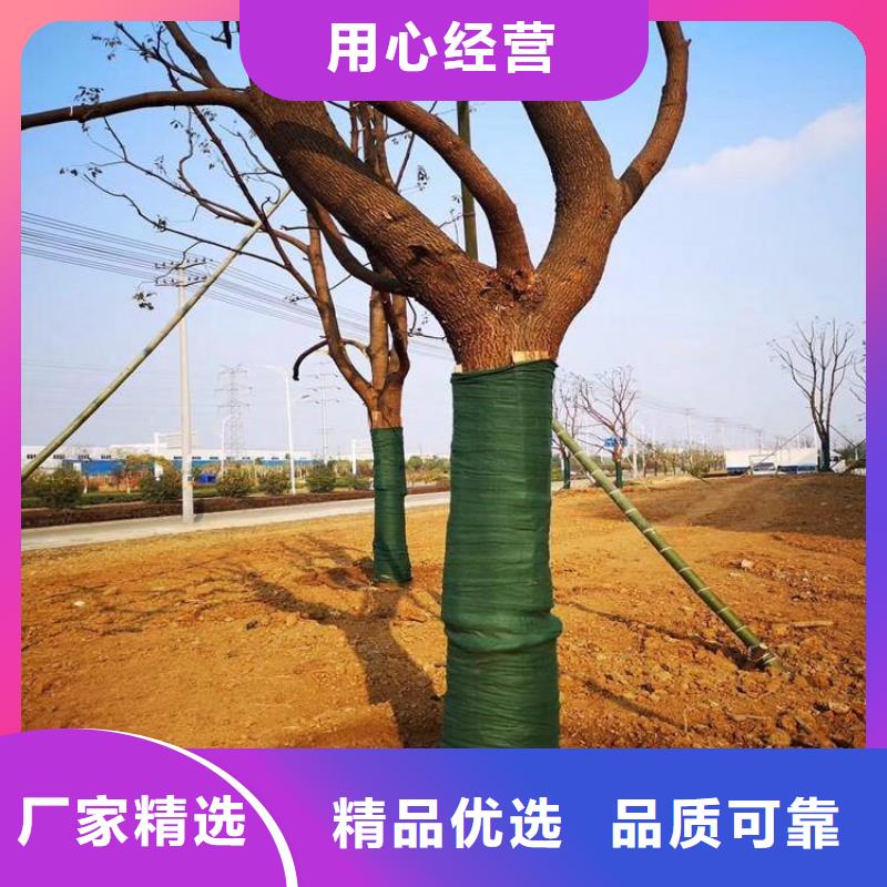 贵州黔西南树木保温布裹树毡