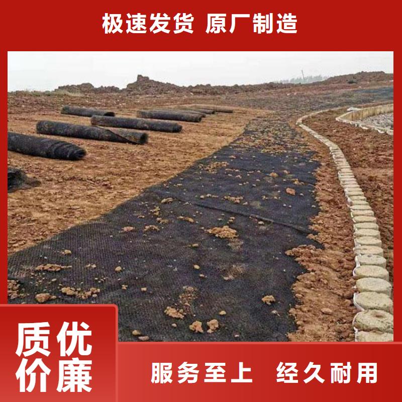 水土保护毯HDPE土工膜厂家自营应用范围广泛