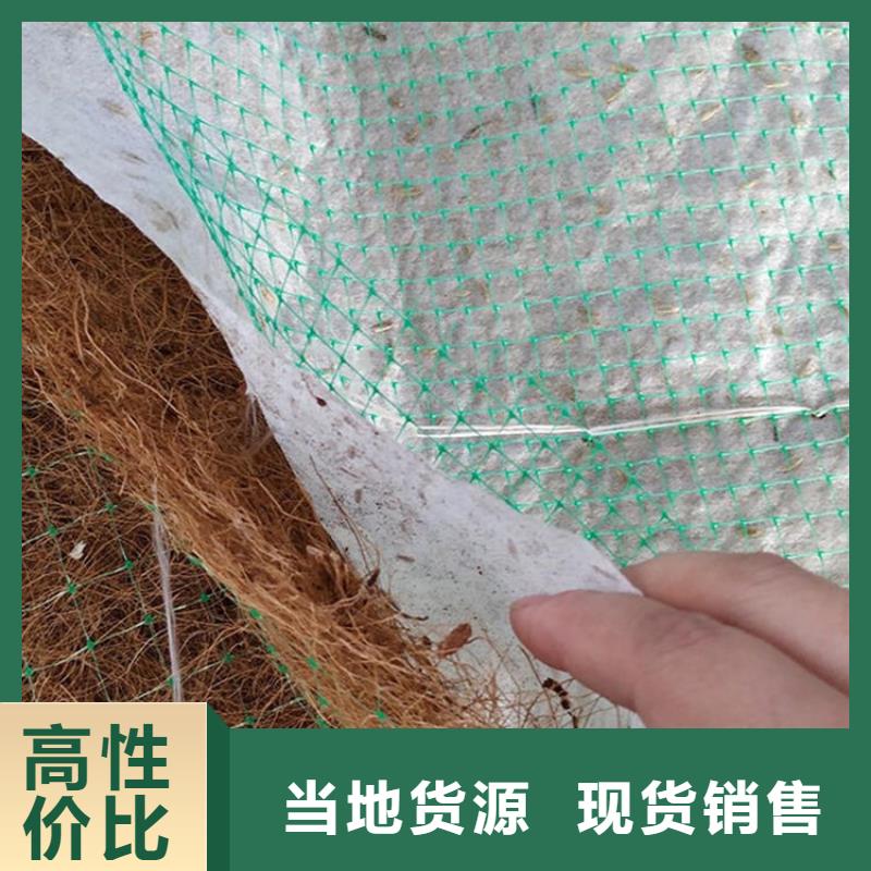 乐东县护坡植被植草毯抗冲植物毯附近生产厂家