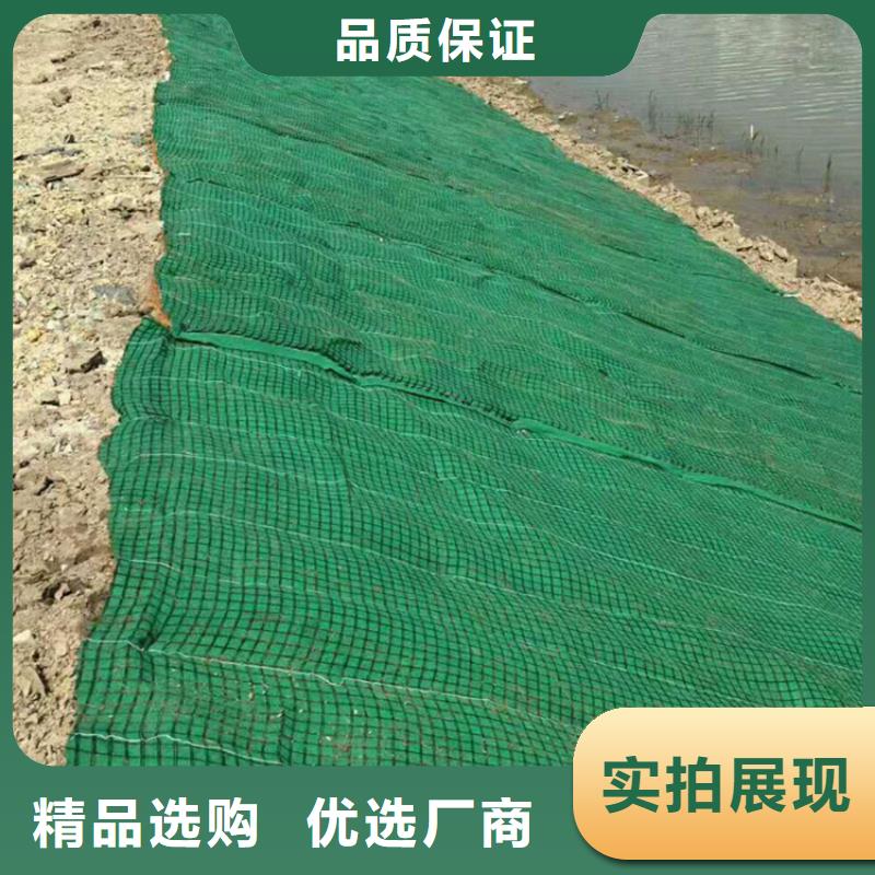 南宁市椰丝植生毯 施工方案