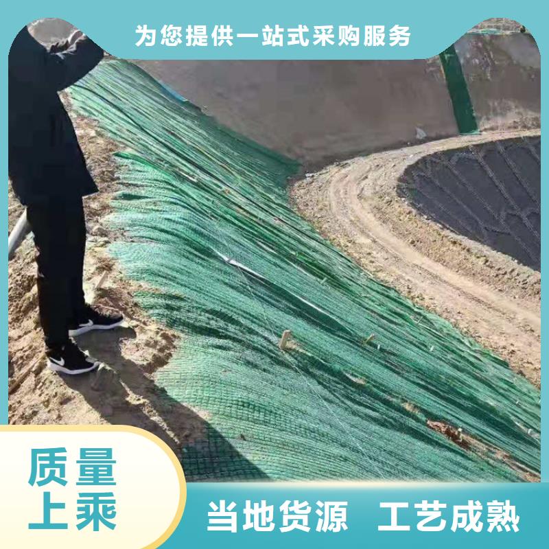 香港椰丝毯 膨润土防水毯工艺层层把关