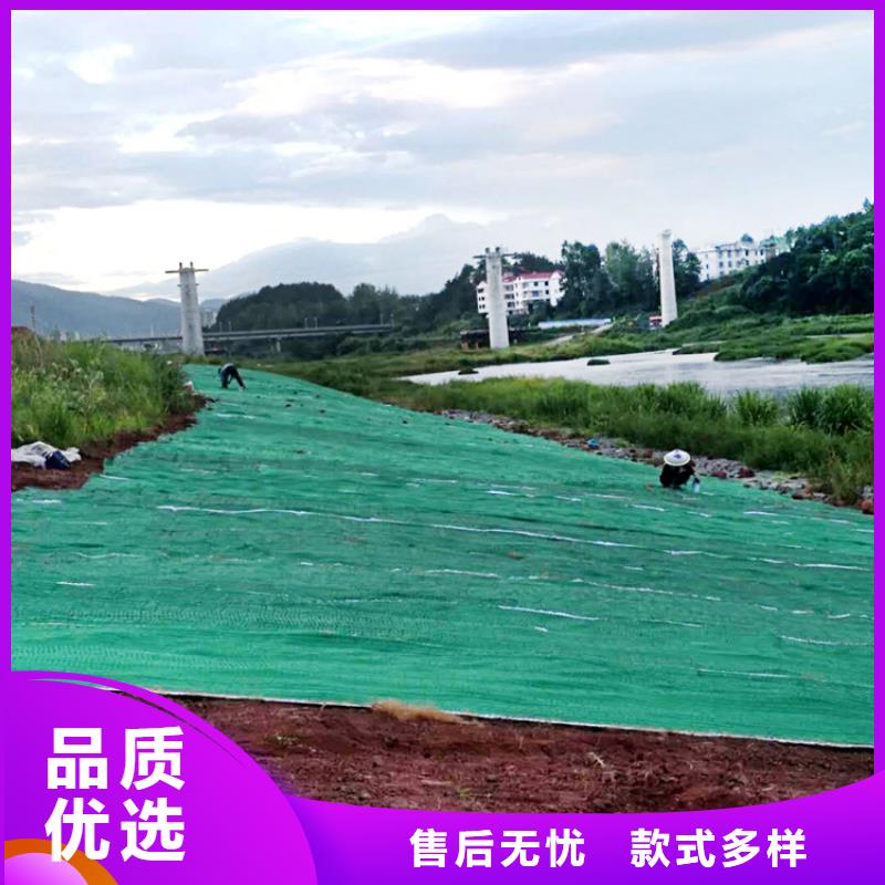 水保抗冲生物毯植物纤维毯本地生产商