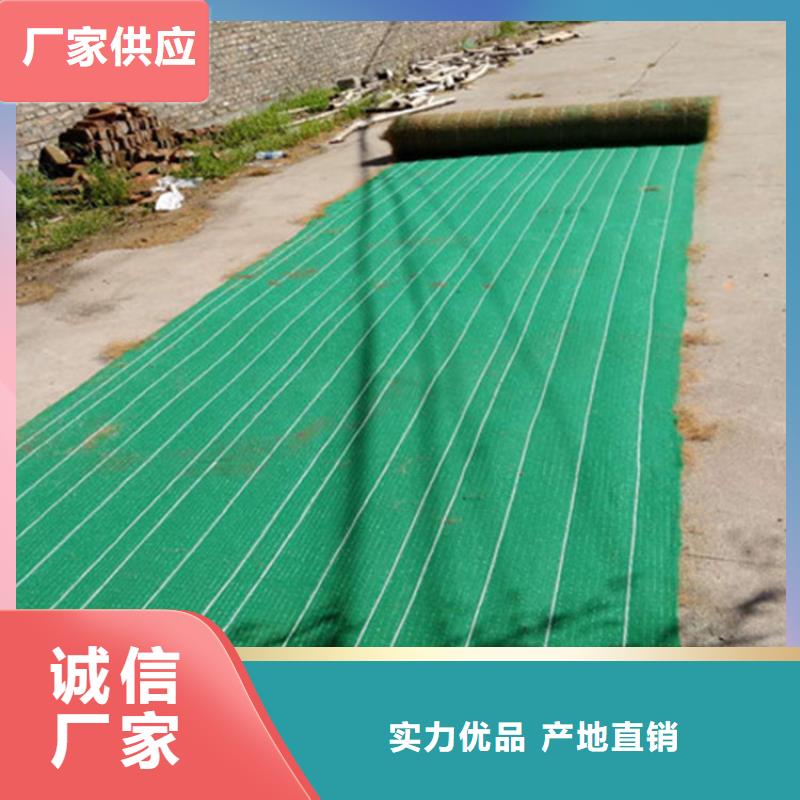 护坡生态草毯水保抗冲生物毯本地生产厂家