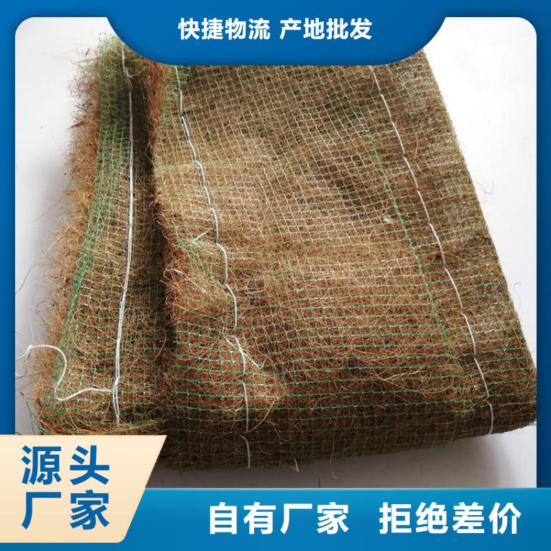 澄迈县加筋抗冲生态毯植草纤维毯大量现货供应