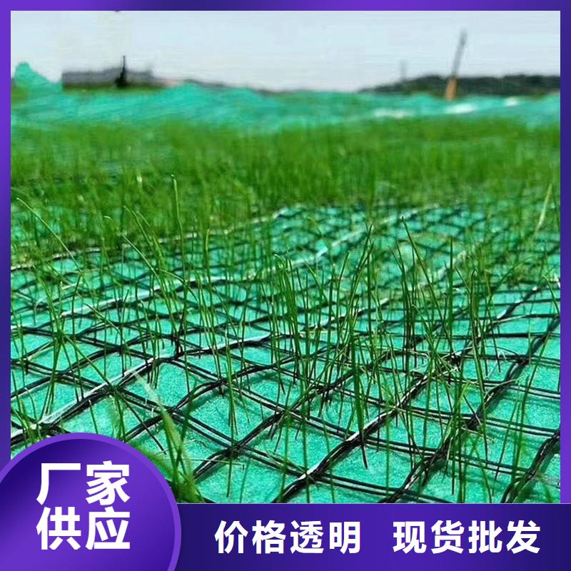 植物纤维毯加筋复合生态草毯专注生产制造多年