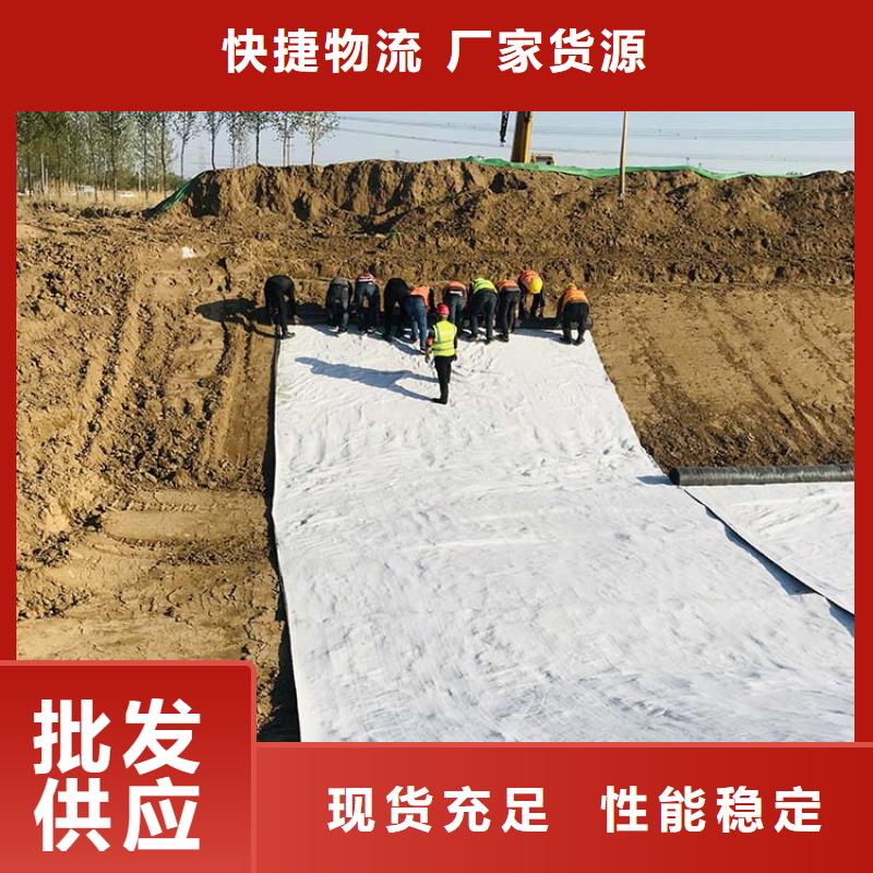 江苏膨润土防水毯HDPE土工膜厂家直销值得选择