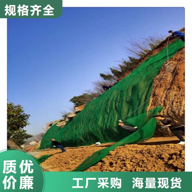 琼中县绿化EM3三维土工网垫当地货源