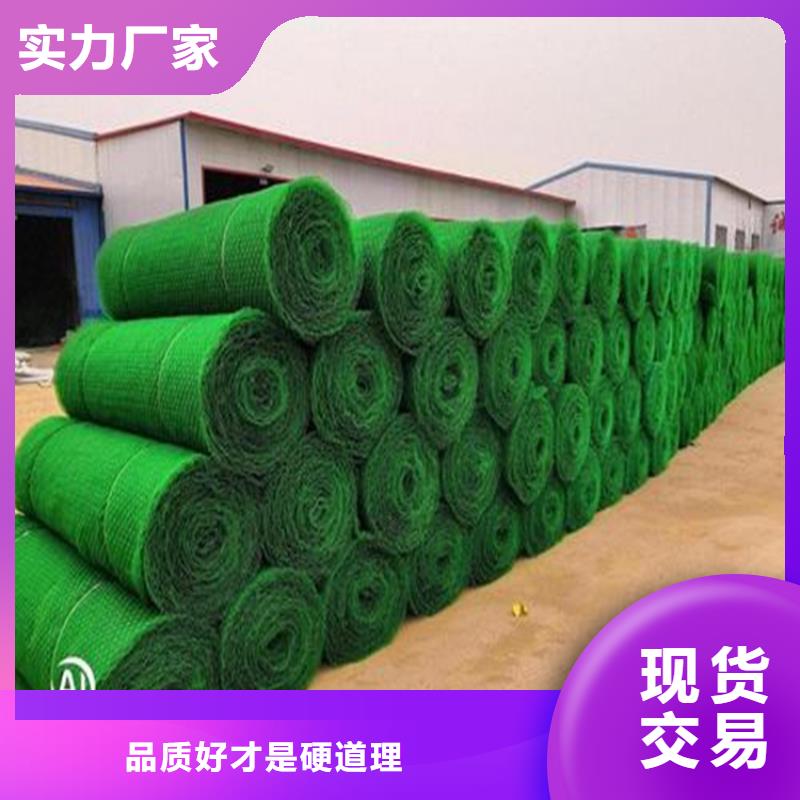 EM2绿化三维固土网垫常年出售