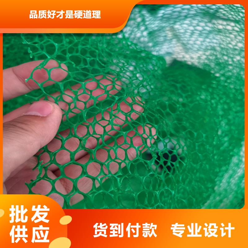 长沙市固土塑料三维植被网