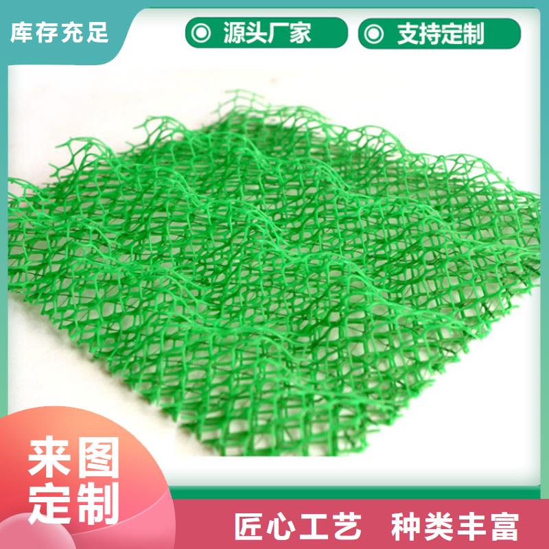 滨州市绿化塑料三维植被网