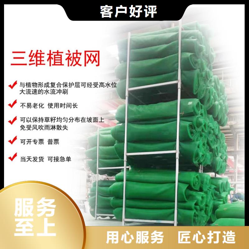 三维护坡植草网垫公司产销一体品质保障价格合理