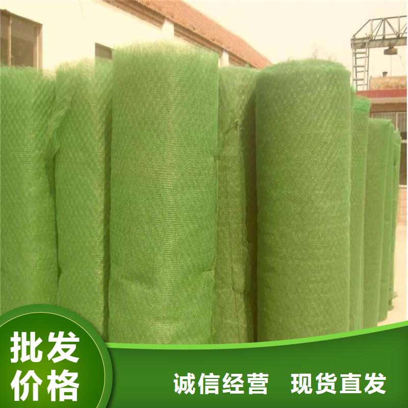 固土绿化三维土工网垫多种规格可选