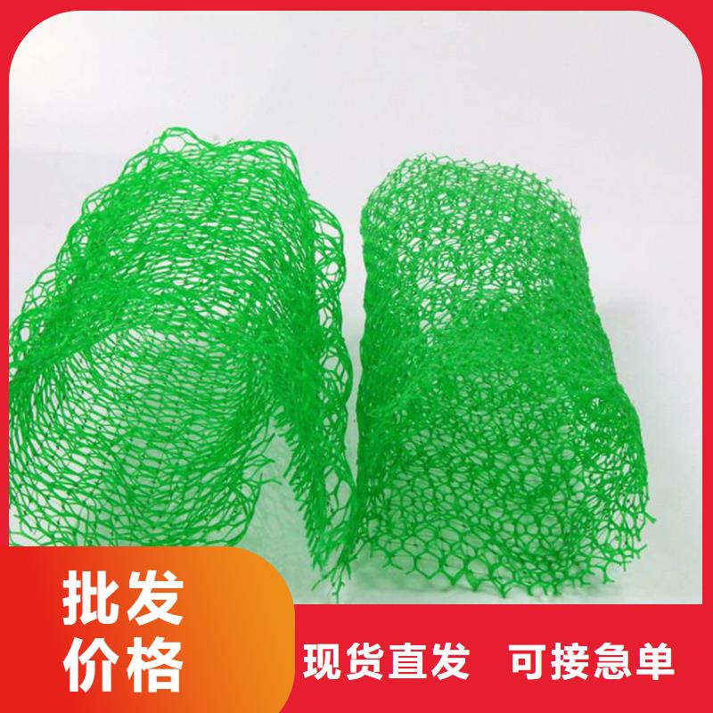 北京市加筋塑料三维土工网垫量大从优