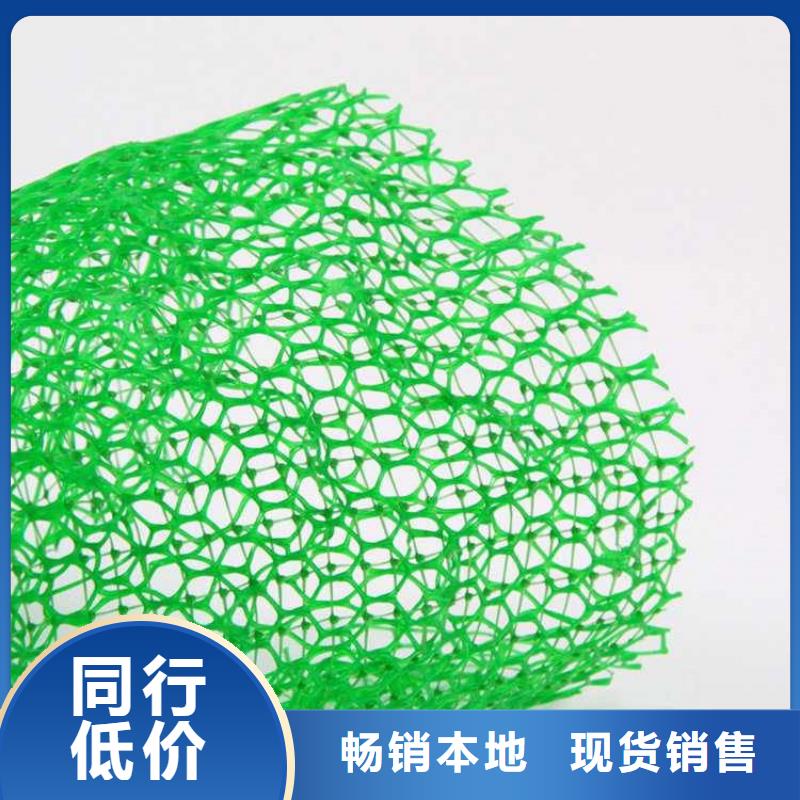 塑料绿化三维植被网规格型号全